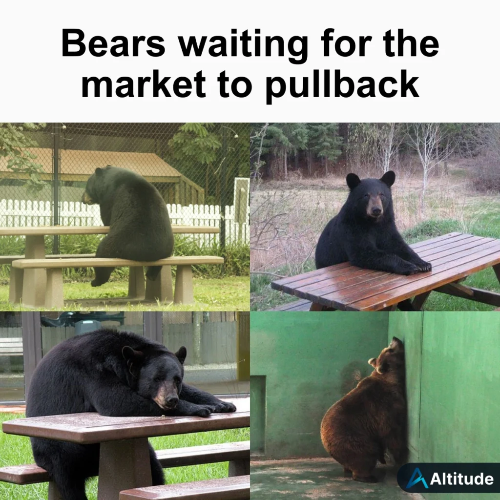 Bear Market Meme for Financial Advisors Financial Advisor Meme